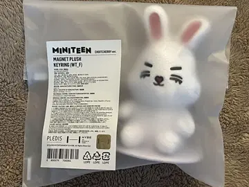 seventeen miniteen 마그넷 키링 에스쿱스