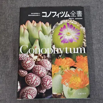 코노피츠무 전서