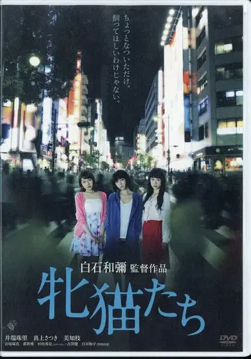 일본 국내 영화 DVD 암컷 고양이들