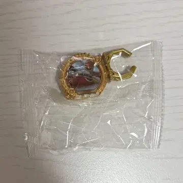 센타이 반지 제트맨
