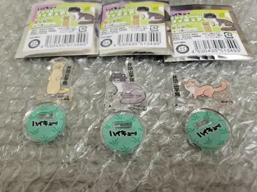 하이큐 아크릴 피규어 사쿠사 코모리 이즈나 이즈나 산 세트