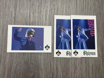 KnightA KnightX 시윤 랜덤 포토 카드