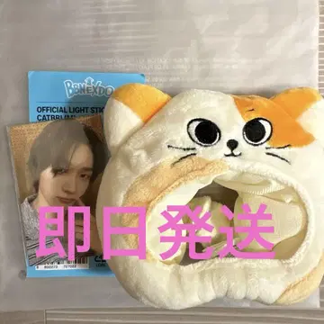 BOYNEXTDOOR 보넥도 보넥도 손호 펜라 커버 CATBBI