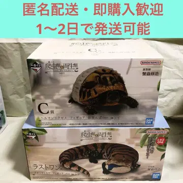 제일복권 파충류 및 양서류 아오지타도마뱀 피규어 베 헤르만리쿠가메