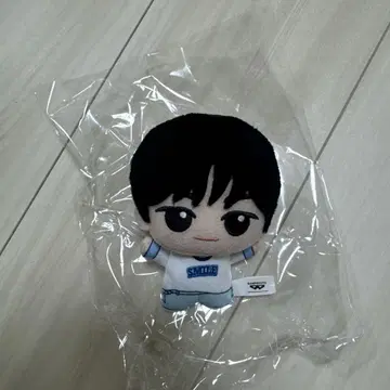 미사용 새상품 TWS 도훈 봉제 인형 남코 한정판 굿즈