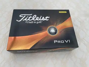 Titleist Pro V1 골프공 12개입 정품