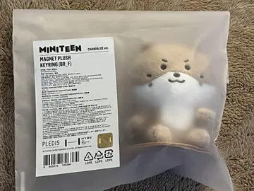seventeen miniteen 마그넷 키링 디노