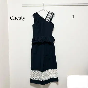 0168 Chesty 올인원 1 사이즈