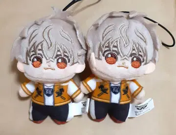 WIND BREAKER 윈드 브레이커 호와누이 토끼 귀 산초 2개 세트