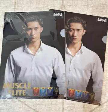 SAVAS MUSCLE ELITE 클리어 파일 이와모토 테루 2장 세트