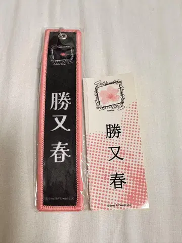 사쿠라자카 카츠마타 봄 네임택&엔니치 스티커