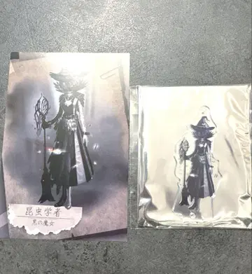 제5인격 뮤지엄 SSR 아크릴 스탠드 엽서 곤충학자