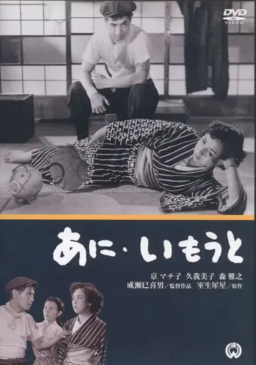 일본 영화 DVD 아니, 이모토