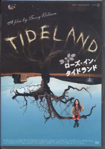 서양화 DVD 로즈 인 타이랜드
