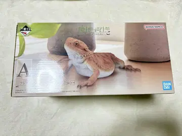 제일복권 피규어 파충류 A상 턱수염도마뱀