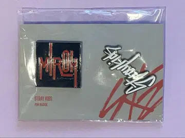 straykids 스키즈 hi stay 서울 콘서트 miroh 핀 배지