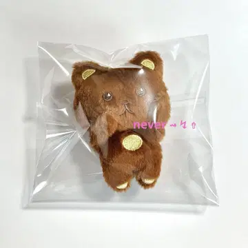 NCT DREAM 마그넷 인형 키링 해찬 1