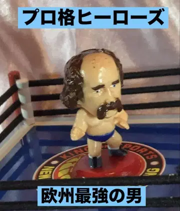 프로 격투 히어로즈