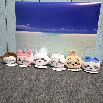 치이카와 엎드려 마스코트 전종 6개 세트