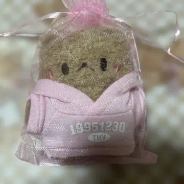 BTS V 태태 태현 마스터 누나비님 코코아 베어