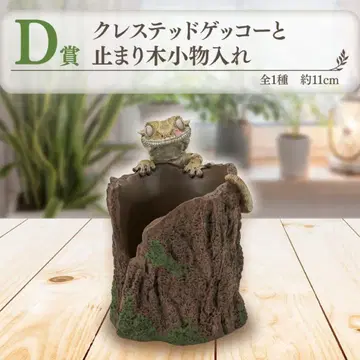 파충류 제일복권 D상 크레스티드 게코 횃대 소품함