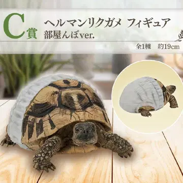 파충류 제일복권 C상 헬만리쿠가메 방