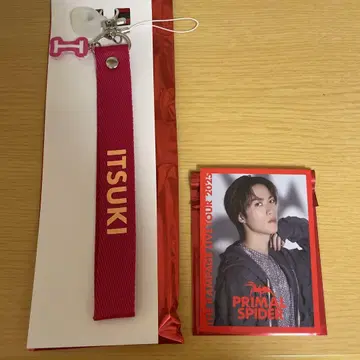 후지와라 이츠키 스트랩 포토 카드 세트