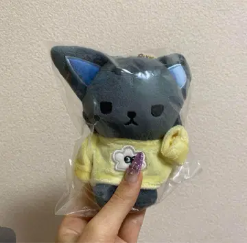 피 하이 마스코트