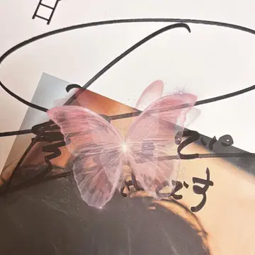 다나카 케이 씨 친필 사인 4종 세트