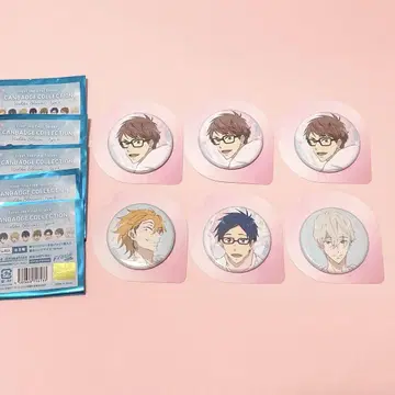Free! FS 캔뱃지 컬렉션 히요리 카에데 레이 알베르토 6세트