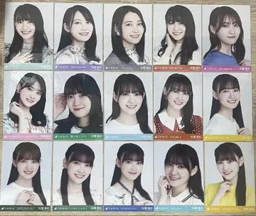 마츠오 미유 브로마이드 215장 묶음 판매