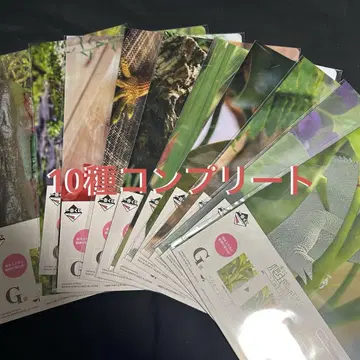 파충류 제일복권 G상 클리어 파일 10종 컴플리트