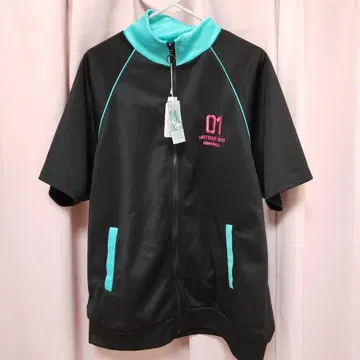 하츠네 미쿠 저리