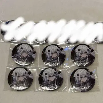 멜트 캔뱃지 실물 크기 메테오라 무도관