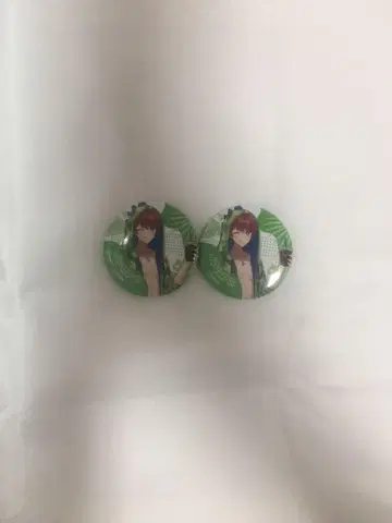 컬러풀피치 카라피치 쟈파파 썸머랜드 썸머 캔뱃지