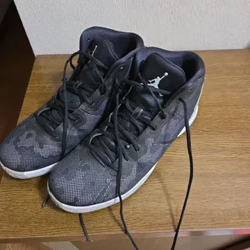 조던 29cm