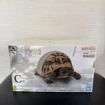 파충류 및 양서류 제일복권 C상 헬만리쿠가메 피규어