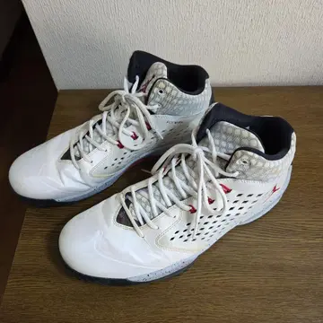 조던 29cm