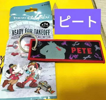 플라이트 택 드림 테이크 플라이트 피트 도쿄디즈니씨