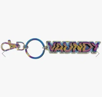 [케이스 포장 미개봉] VAUNDY 로고 키체인