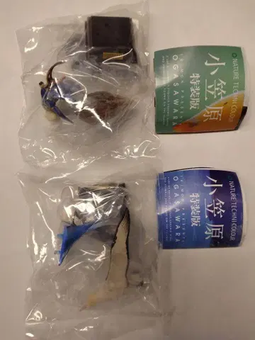 오가사와라 특장판 오카야도가리 아호우도리