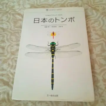 일본의 잠자리