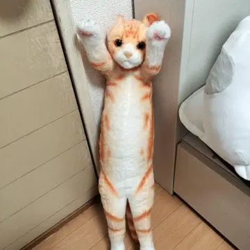 터치 Zoo 냥코 아메리칸 숏헤어
