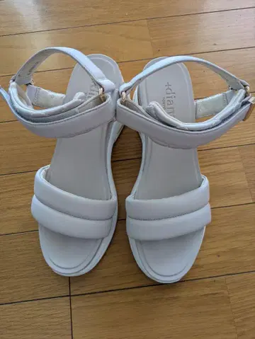 다이애나 스포산