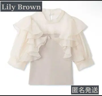 LILY BROWN 릴리 브라운 오간자 도킹 니트 상의