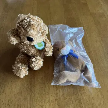 카르푸 봉제 인형 사자 곰 새상품 2개 세트