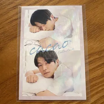 요시모토 콜레카 6th cacao 우라타 스타크 오하요 카드