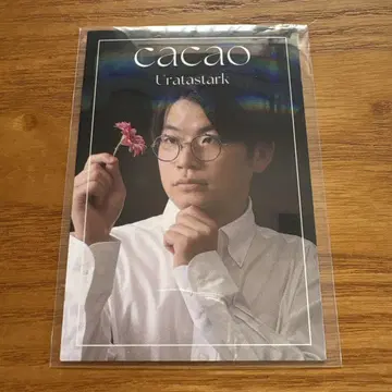 요시모토 코레카 6th 카카오 우라타 스타 플라워 카드