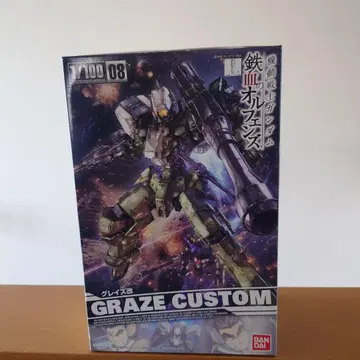 그레이즈 개조 1/100 GRAZE CUSTOM
