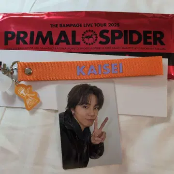 THE RAMPAGE PRIMAL SPIDER 2점